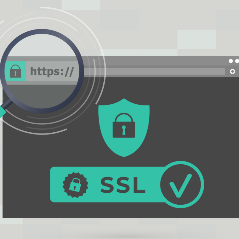 Magnifying glass zoomed in on a website address bar showing a lock with "https" and on the main page in big letters says "SSL" with a lock and a checkmark